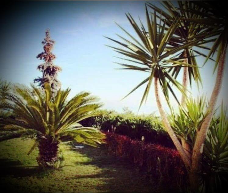 B&B Villa Floriana Tortoreto Kültér fotó